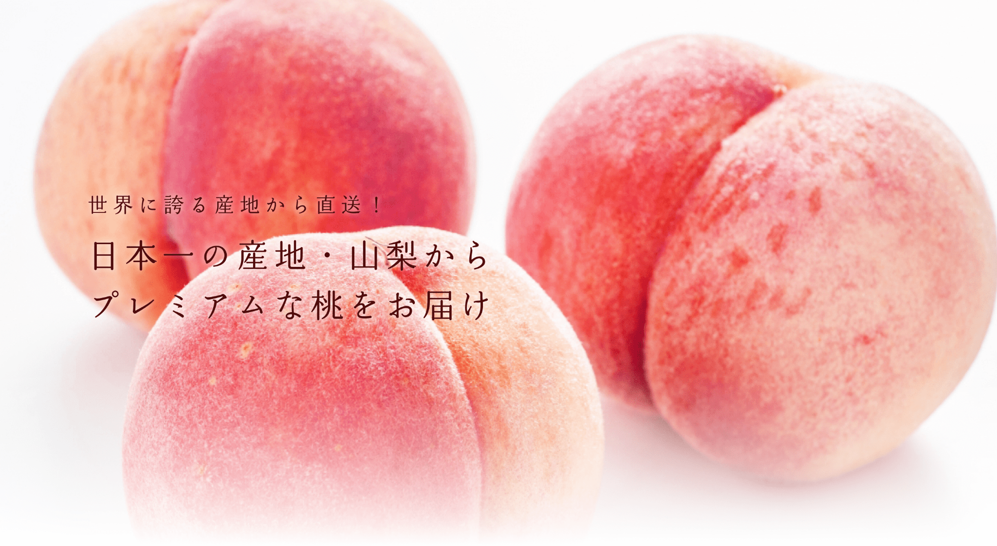 フルーツ山梨の桃